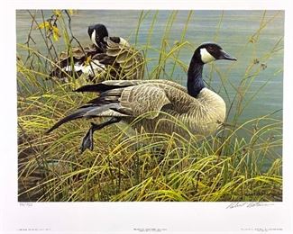 Robert Bateman Signed Limited Edition Lithograph 46/950 "Preening Pair - Canadian Geese" 21" x 17"