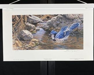  Limited Edition Signed Lithograph by John Seerey-Lester 18/950 "Bathing Blue Jay" 18" x 11" Unframed