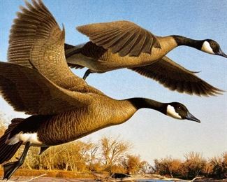  Robert Steiner Limited Edition Signed Duck Stamp Print (Lithograph) and Relief Stamp 1990 ~ 284/14,500