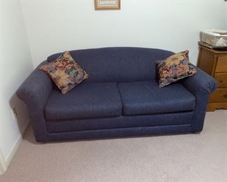 Beautiful sleeper sofa