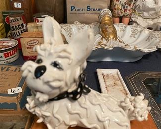 Italian Spaghetti Poodle