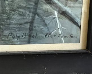 Art Blue Jay by Philip Biehl