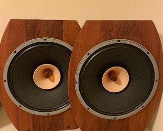 Lii Audio open baffle speakers 15” full range drivers