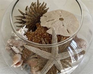Fish Bowl with Shell Collection. Photo 1 of 2. 