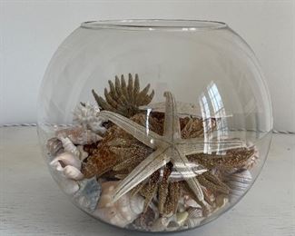Fish Bowl with Shell Collection. Photo 2 of 2. 
