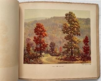 Vintage Provident Mutual Calendar Featuring 12 Full-Color Pictures of Land & Sea. Photo 11 of 12.