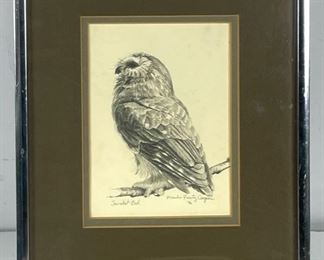 Maska Frontz Cooper Wildlife Owl Original Pencil Drawing on Paper. Signed and Dated 1976 