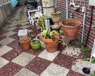 Assorted pots and plants