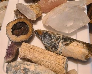 Fossils, Bones, crystals and petrified wood
