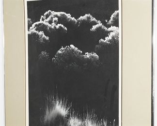 Photograph by David Meunch