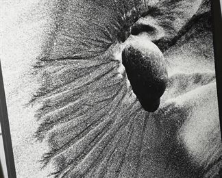 "Low Tide #4" by Hella Hammid