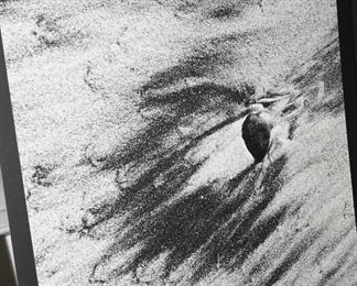 "Low Tide #2" -Hella Hammid