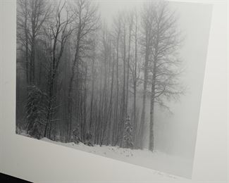 Photos  by J. Barry Thompson