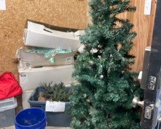 Many Christmas trees available