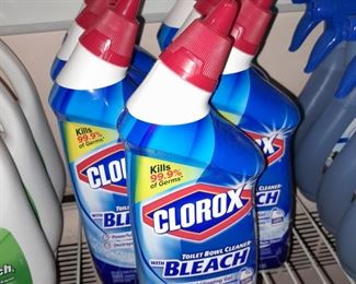 Clorox Bleach (NEW!)