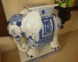 Elephant gets a suppository.