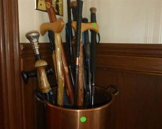 Canes and Walking Sticks