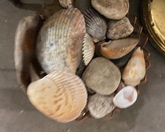 Basket with large shells 