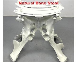 Lot 154 Primitive Painted White Natural Bone Stool