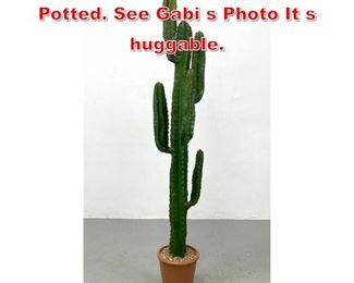 Lot 246 Tall Faux Cactus Sculpture. Potted. See Gabi s Photo It s huggable. 