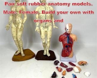 Lot 467 3pc Anatomical Models. Pair soft rubber anatomy models. Male. Female. Build your own with organs and
