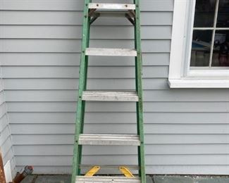 6 Werner Step Ladder