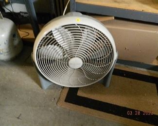 fan