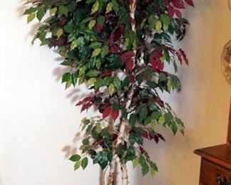 Amerique 5' Ficus Capensia Artificial Tree