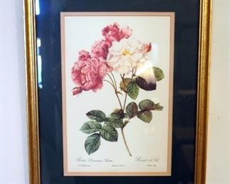 Pierre Joseph Redoute Floral Print Framed Matted Under Glass, 17"x13"