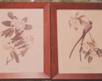 327 - Pair of Framed Prints 11x14

