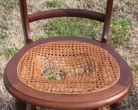 514 - Walnut chair, cane in seat damaged 32.5 x 17.5 x 16.5
