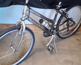 02 Raleigh Girls Mountain Bike