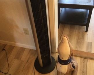 Coyote And Fan