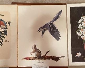 Ray Harm J. Stamper Signed