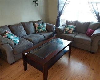 Couches and Coffee Table