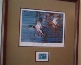 NC Duck Stamped Prints