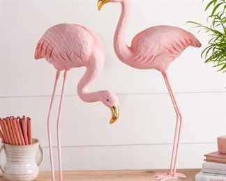 flamingos