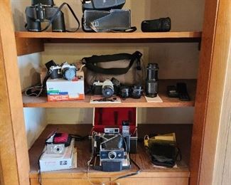 Array of vintage cameras