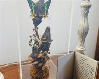 Diorama of Moth 