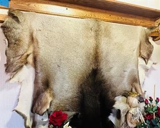 1st Grade Hair On Elk Hide