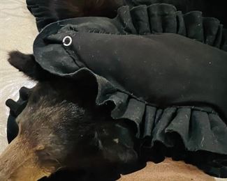 Taxidermy Bear Skin Rug