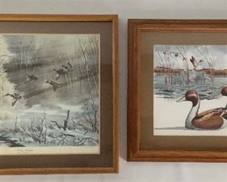 Signed Duck Art Prints