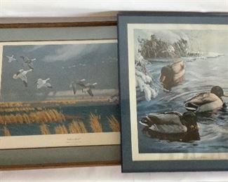Waterfowl Artwork, Numbered and Signed