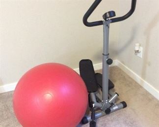 Sunny Stepper and Exercise Ball