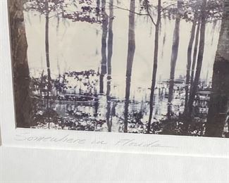Florida Landscape Signed Framed Art