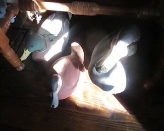 Duck Decoys