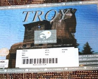 Troy Oval Oriental Rug