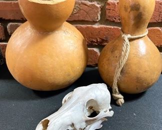 Gourd pots, animal skull