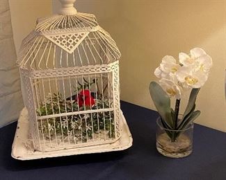 bird cage