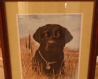 "That's My Dog, Too" by James H Killen